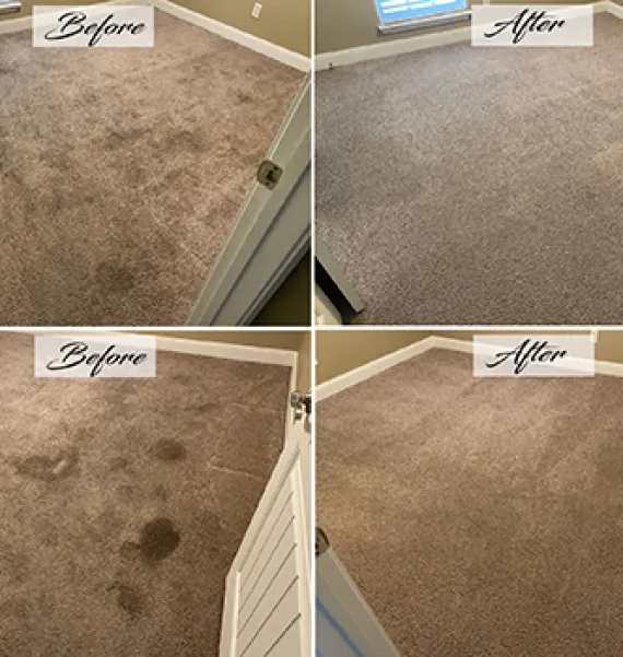 before-after-carpet-cleaning