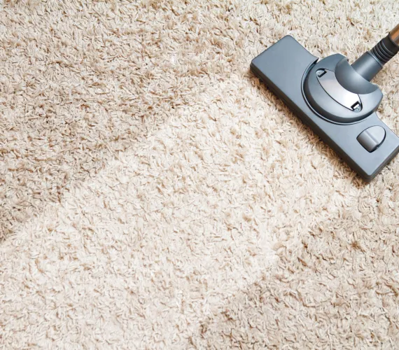 carpet-cleaning-zoomed-in (1)