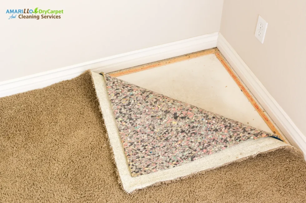 Why Carpet Stains Come Back—Even After a Professional Cleaning
